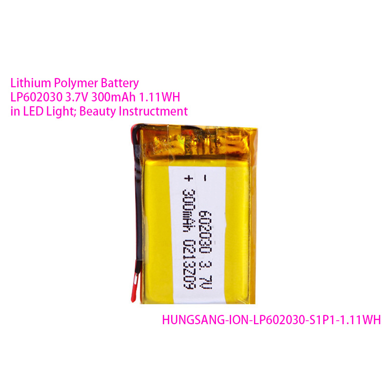 ION-LP602030-S1P1-1